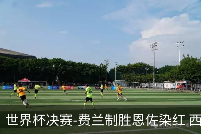 世界杯决赛-费兰制胜恩佐染红 西班牙加时1-0阿根廷夺冠