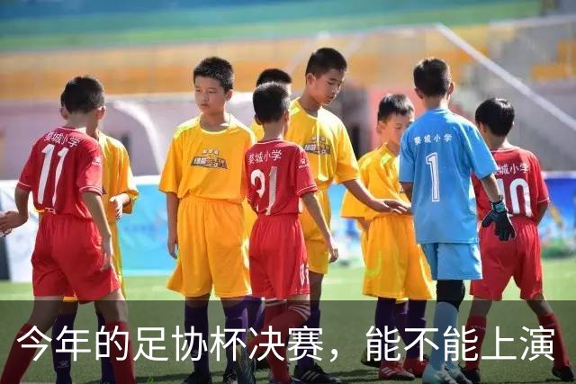 今年的足协杯决赛，能不能上演“上海德比”