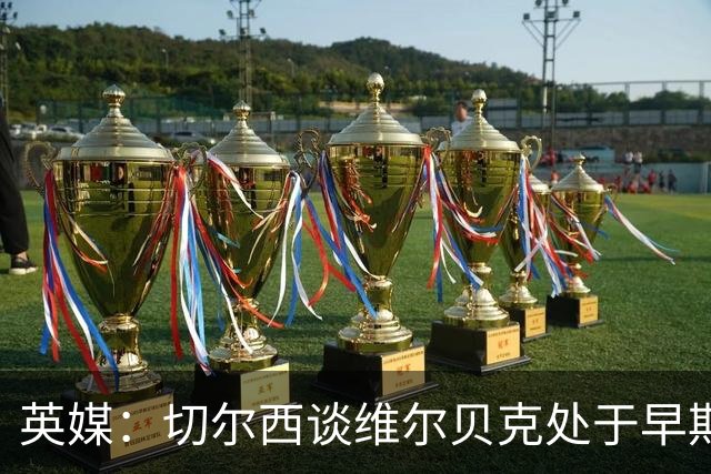 英媒：切尔西谈维尔贝克处于早期阶段，布莱顿不会阻拦其离队