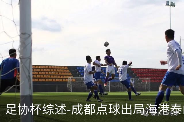足协杯综述-成都点球出局海港泰山晋级 申花大胜