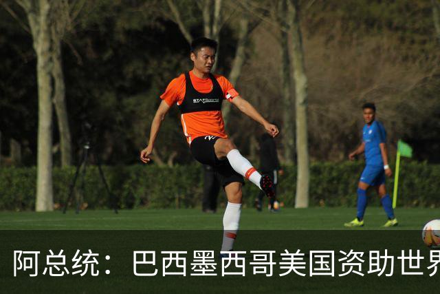 阿总统：巴西墨西哥美国资助世界杯期间“反阿根廷运动”