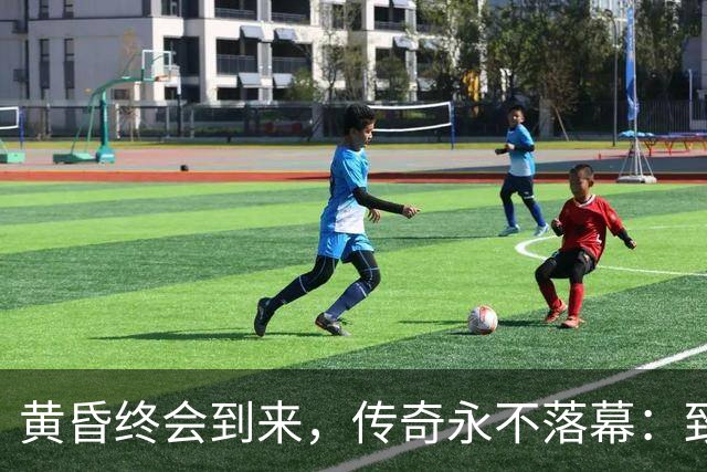 黄昏终会到来，传奇永不落幕：致敬世界杯老将